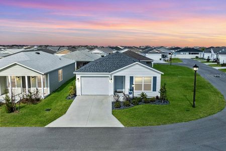 New construction Single-Family house 1535 Pj Martin Ct, The Villages, FL 32163 - image