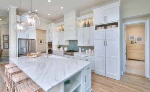 New construction Single-Family house 85 Courtney Manor Ct, St. Augustine, FL 32092 plan Egret V - Pinnacle Series | 80' Wide Lots - image 20