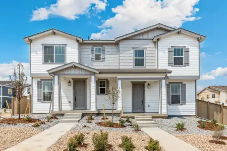 New construction Single-Family house 307 Nighthawk St, Erie, CO 80516 - image