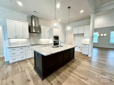 New construction Single-Family house 6907 Glen Abbey Ln, Mount Pleasant, NC 28124 plan Morgan - image 6