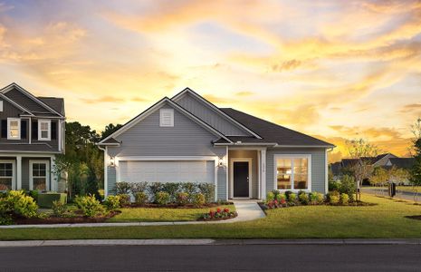 New construction Single-Family house 104 Royal Cainhoy Way, Charleston, SC 29450 - photo 0