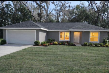 New construction Single-Family house 15045 Se 61St Ct, Summerfield, FL 34491 - image