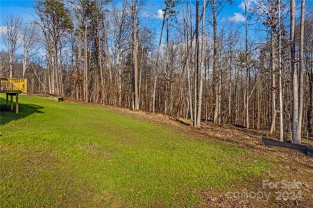 New construction Single-Family house 746 Whites Farm Rd, Statesville, NC 28625 null- photo 38 38