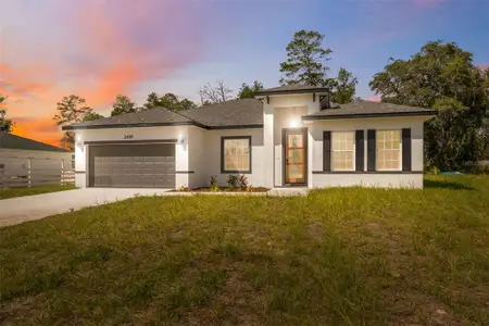 New construction Single-Family house 2459 Sw 158Th Street Rd, Ocala, FL 34473 - image