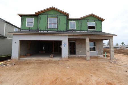 New construction Single-Family house 38318 Tobiano Loop, Dade City, FL 33525 Malibu- photo 44 44