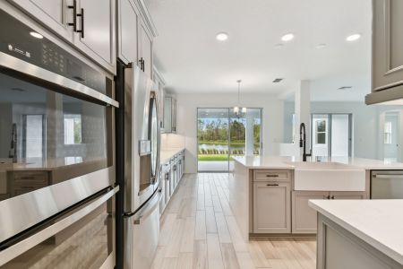 New construction Single-Family house 7819 Notched Pine Bnd, Wesley Chapel, FL 33545 Windsor- photo 139 139