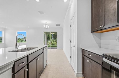 New construction Single-Family house 2363 Selenia St, Lake Alfred, FL 33850 plan Dania - image 10