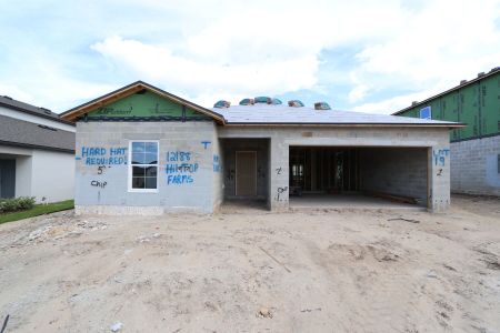 New construction Single-Family house 12188 Hilltop Farms Dr, Dade City, FL 33525 Ventura- photo 22 22