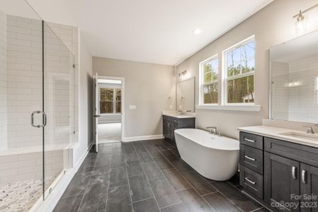 New construction Single-Family house 4024 Red Hill Way, Denver, NC 28037 null- photo 8 8