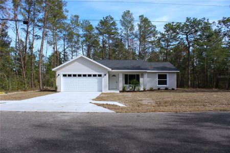 New construction Single-Family house 15 Fisher Way Pl, Ocklawaha, FL 32179 - image