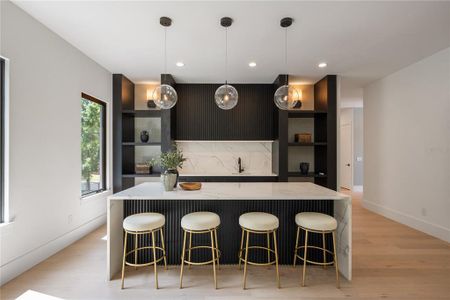 New construction Single-Family house 11303 Windermere Rd, Windermere, FL 34786 - image 9