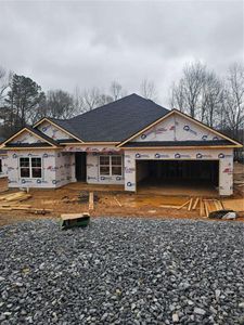 New construction Single-Family house 149 Scarlett Place Dr, Bowdon, GA 30108 - image