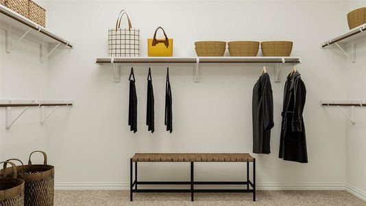 Spacious closet with light colored carpet