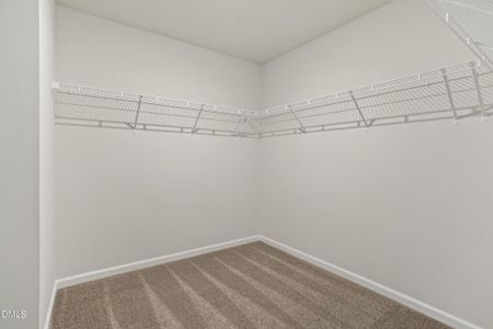 New construction Single-Family house 174 Harriette Ct, Lillington, NC 27546 plan Telfair - image 14