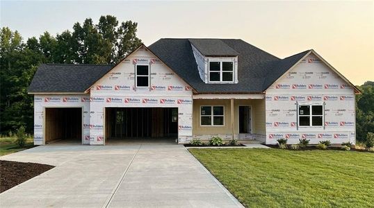 New construction Single-Family house 189 Randolph Farms Dr, Dallas, GA 30132 - image