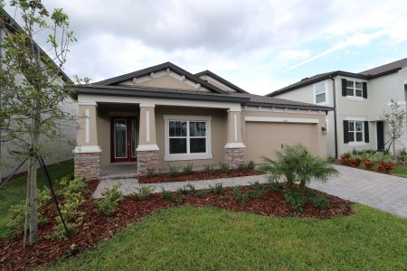 New construction Single-Family house 33227 Amling Pecan Br, Wesley Chapel, FL 33545 Newport II- photo 82 82