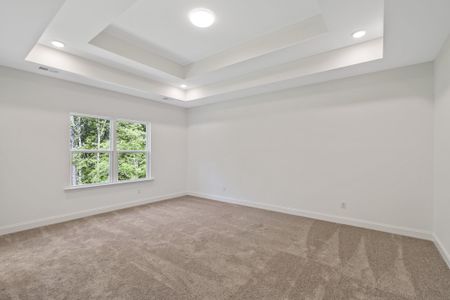 New construction Single-Family house 127 Augusta Pass Dr, Ridgeville, SC 29472 plan Adams - image 8