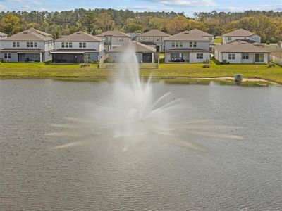 New construction Single-Family house 20723 Balsam Hill Rd, Land O' Lakes, FL 34638 Medina- photo 42 42