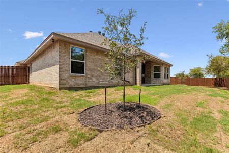 New construction Single-Family house 736 Jameson, Springtown, TX 76082 - photo 4 4