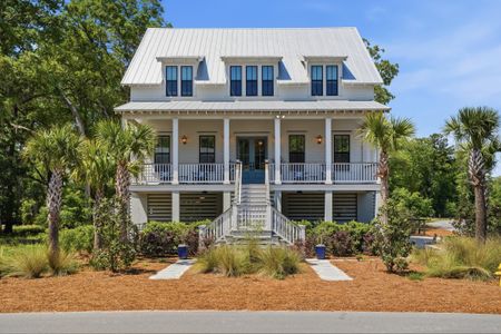 New construction Single-Family house 2224 Boatwright Rd, Johns Island, SC 29455 - image