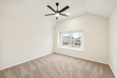 New construction Single-Family house 635 Sirius Dr, Waxahachie, TX 75165 Magnolia II- photo 25 25