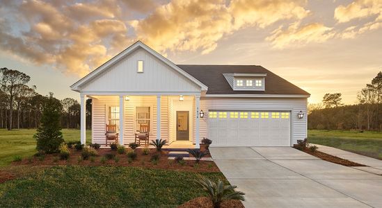 New construction Single-Family house 4203 Hollow Wind Way, Summerville, SC 29485 - photo 0