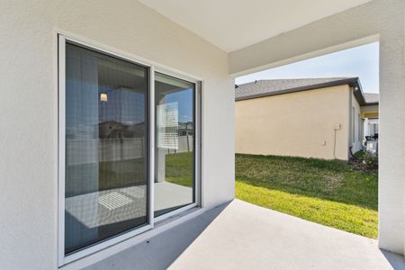 New construction Single-Family house 12219 Hilltop Farms Dr, Dade City, FL 33525 Malibu- photo 252 252