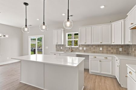 New construction Single-Family house 6307 Loudwater Ct, Unit 116, Smyrna, TN 37167 plan Langley A - image 6