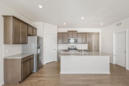 New construction Single-Family house 4837 Cattle Cross Ln, Castle Rock, CO 80104 null- photo 12 12