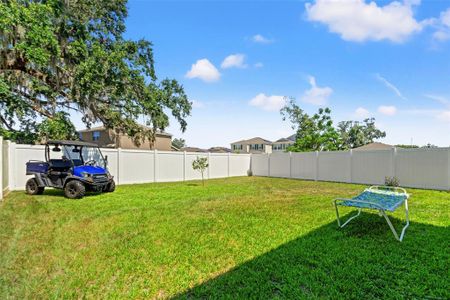 New construction Single-Family house 13765 Whiskey Daisy Dr, Dade City, FL 33525 plan Darwin - image
