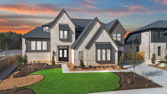 New construction Single-Family house 41696 Wendele Wy, Montgomery, TX 77316 plan Rialto - image