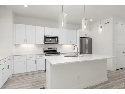 New construction Duplex house 165 Washington St, Erie, CO 80516 - image 6