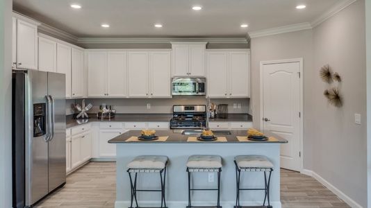 Trevi plan kitchen