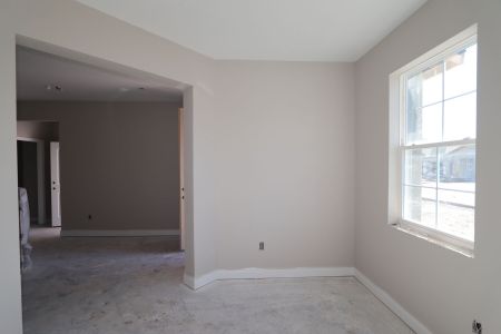 New construction Single-Family house 20050 Oriana Loop, Land O' Lakes, FL 34638 Santa Monica- photo 87 87