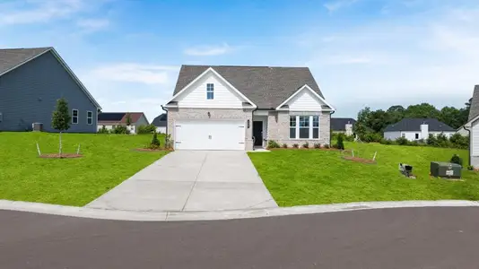 New construction Single-Family house 200 Overton Dr, Perry, GA 31069 plan Savannah - image