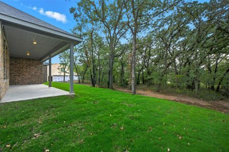 Arbor Oaks by Cheldan Homes in Boyd - image 17