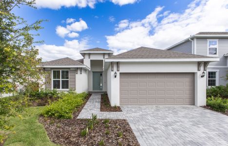 New construction Single-Family house 2371 Natoma Blvd, Mount Dora, FL 32757 plan Augustine - image