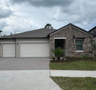 New construction Single-Family house 8327 Painted Sky Place, Land O' Lakes, FL 34637 - photo 0