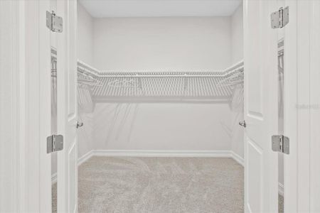 New construction Single-Family house 19364 Sheltered Hill Dr, Brooksville, FL 34601 - image 18