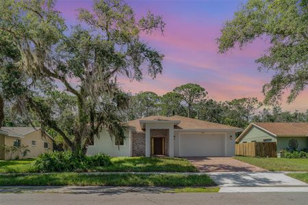 New construction Single-Family house 2141 Cork Oak St, Sarasota, FL 34232 - image