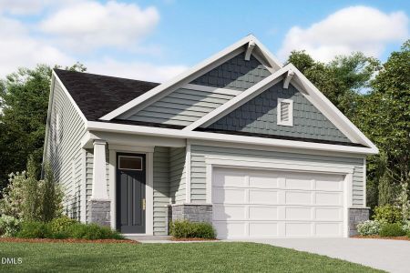 New construction Single-Family house 98 Cypress Moss Ct, Lillington, NC 27546 - image