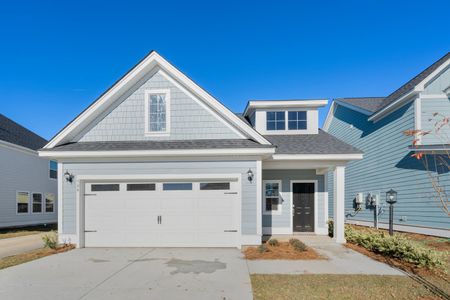 High Point at Foxbank by Dream Finders Homes in Moncks Corner - photo 11 11