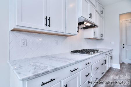 New construction Single-Family house 277 Triple Ponds Ct, Clover, SC 29710 - image 8