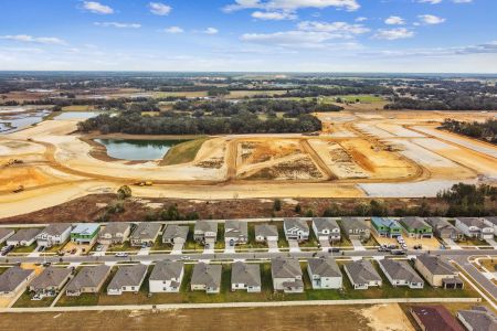 New construction Single-Family house 12193 Hilltop Farms Dr, Dade City, FL 33525 Sentinel- photo 166 166