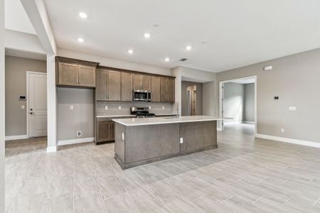 New construction Single-Family house 12505 White Blossom Ct, Parrish, FL 34219 plan Sapphire - image 17