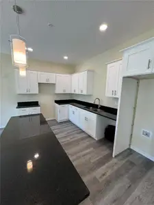 New construction Townhouse house 4374 Cambio Gdns, Tampa, FL 33610 - image