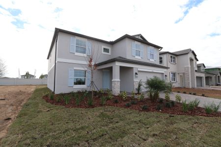 New construction Single-Family house 38350 Tobiano Loop, Dade City, FL 33525 Cabo- photo 113 113