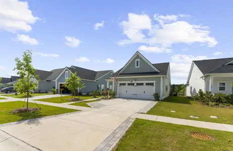 New construction Single-Family house 168 Norses Bay Ct, Summerville, SC 29486 plan CARLYLE - image