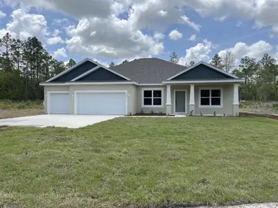 New construction Single-Family house 12416 Sw 67Th Ln, Ocala, FL 34481 - image