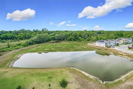New construction Single-Family house 1304 Berry Ln, Davenport, FL 33837 null- photo 54 54